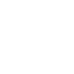 ambulance icon