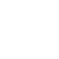 x ray icon